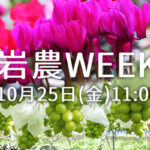 岩農WEEK