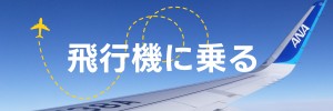 飛行機に乗る