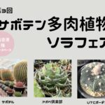 第3回　サボテン多肉植物ソラフェア