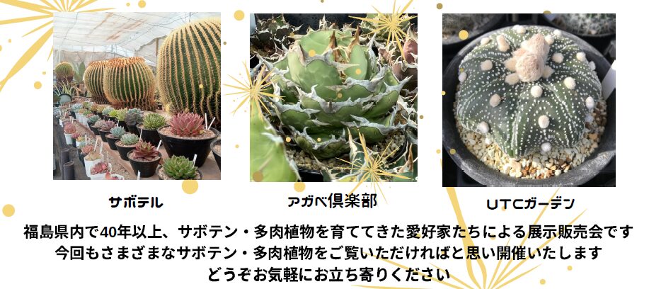 You are currently viewing 第4回サボテン多肉植物ソラフェア