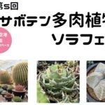 第5回サボテン多肉植物ソラフェア