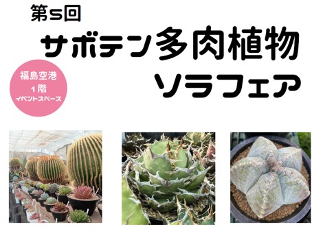 You are currently viewing 第5回サボテン多肉植物ソラフェア