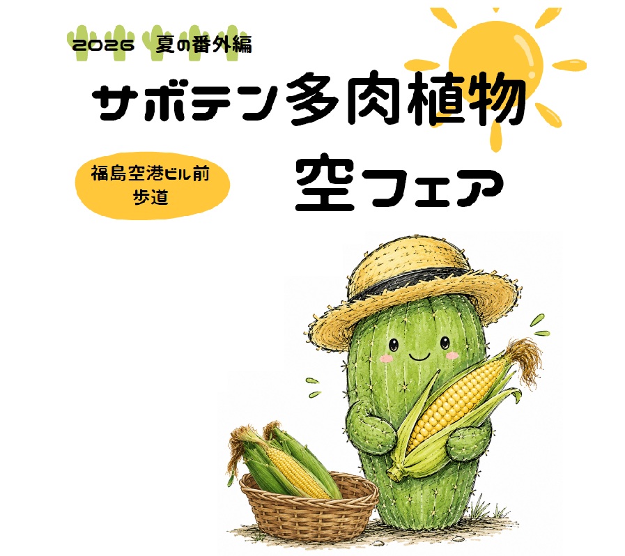 You are currently viewing 2026夏の番外編　サボテン多肉植物　空フェア