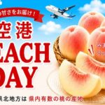福島空港Peach Day