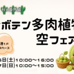 サボテン多肉植物  空フェア